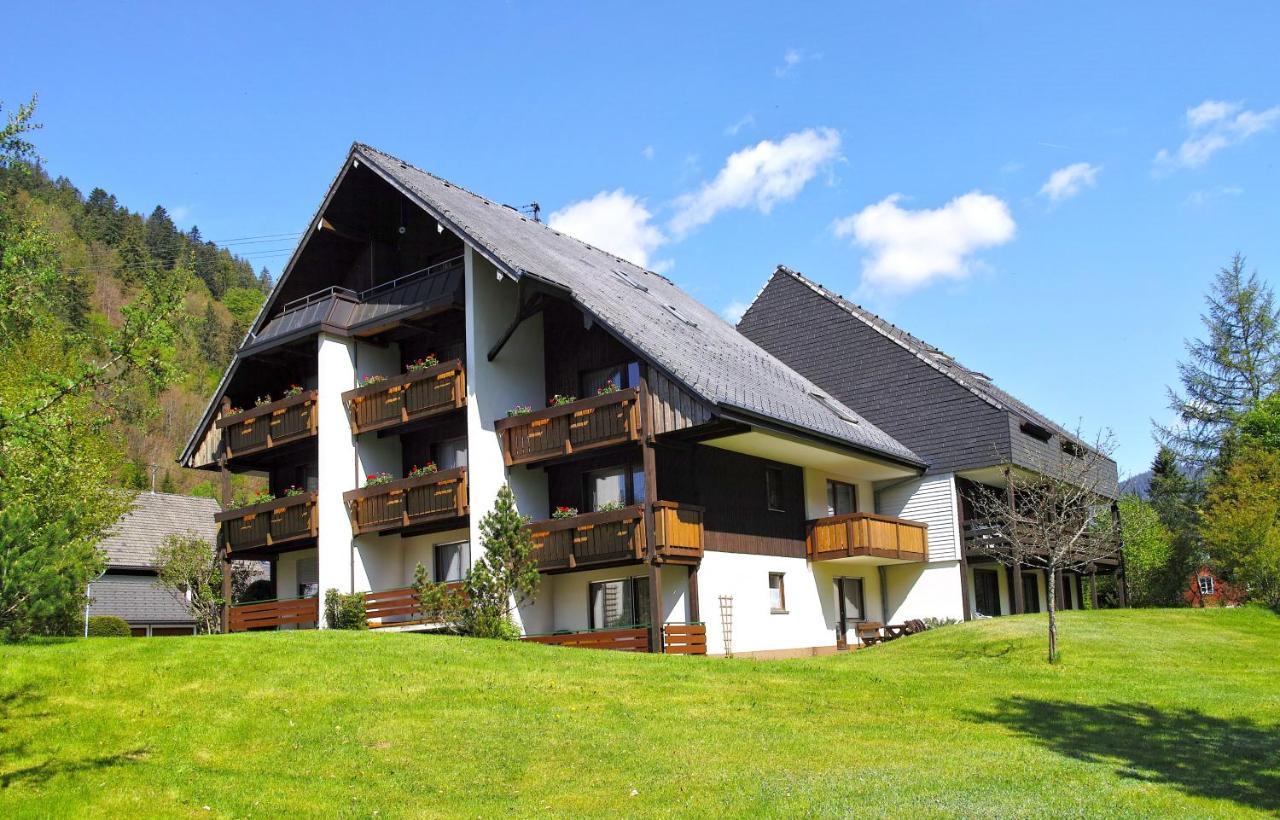 C2 Albmatte-Fewo , Hallenbad Aussenbecken Massagen Nebenan St. Blasien Exteriér fotografie