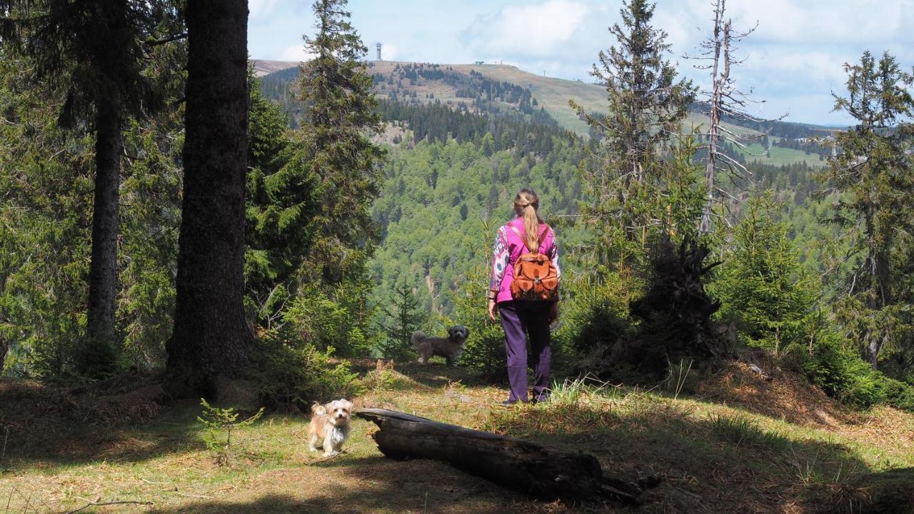 C2 Albmatte-Fewo , Hallenbad Aussenbecken Massagen Nebenan St. Blasien Exteriér fotografie