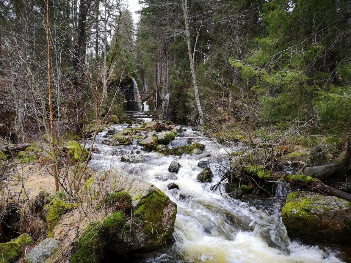 C2 Albmatte-Fewo , Hallenbad Aussenbecken Massagen Nebenan St. Blasien Exteriér fotografie