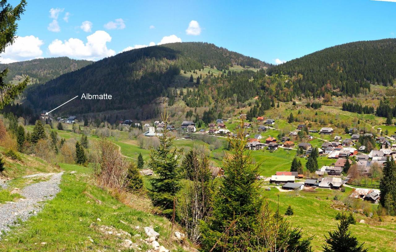 C2 Albmatte-Fewo , Hallenbad Aussenbecken Massagen Nebenan St. Blasien Exteriér fotografie