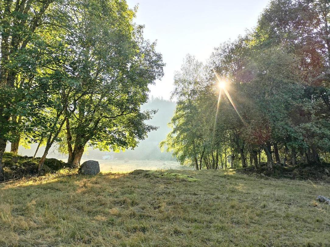 C2 Albmatte-Fewo , Hallenbad Aussenbecken Massagen Nebenan St. Blasien Exteriér fotografie