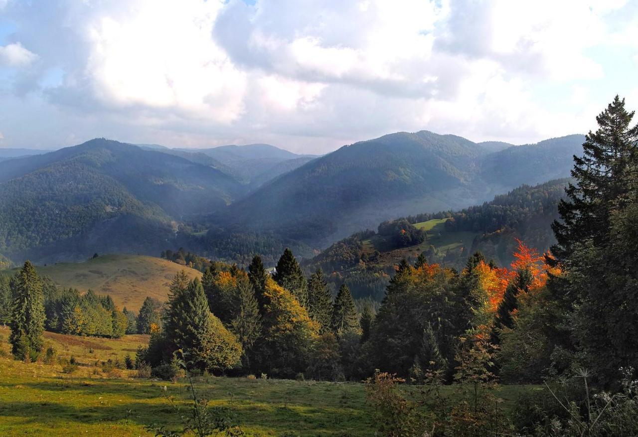 C2 Albmatte-Fewo , Hallenbad Aussenbecken Massagen Nebenan St. Blasien Exteriér fotografie