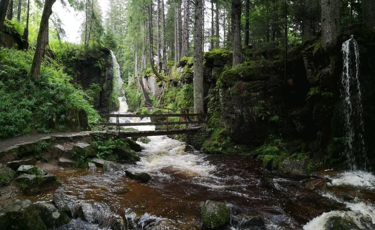 C2 Albmatte-Fewo , Hallenbad Aussenbecken Massagen Nebenan St. Blasien Exteriér fotografie
