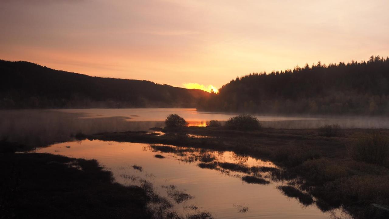 C2 Albmatte-Fewo , Hallenbad Aussenbecken Massagen Nebenan St. Blasien Exteriér fotografie