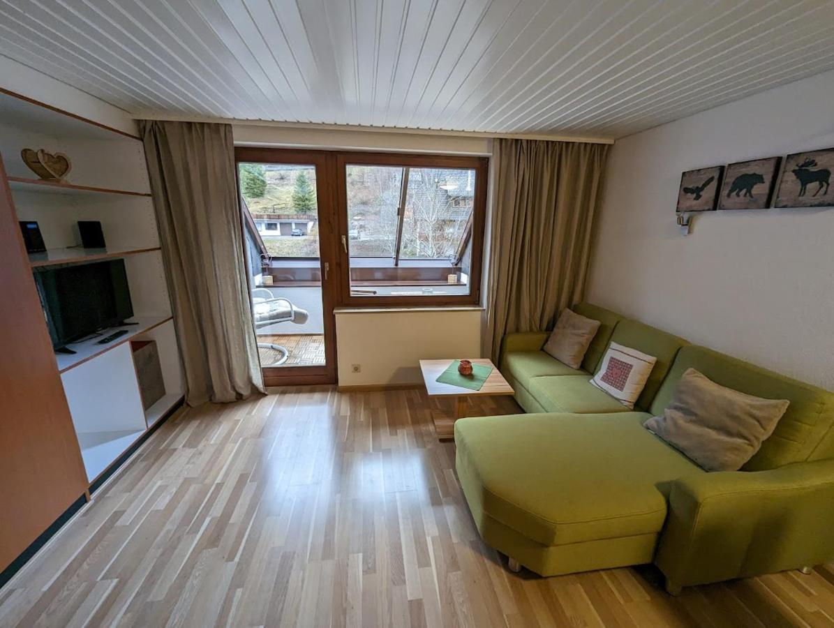 C2 Albmatte-Fewo , Hallenbad Aussenbecken Massagen Nebenan St. Blasien Exteriér fotografie
