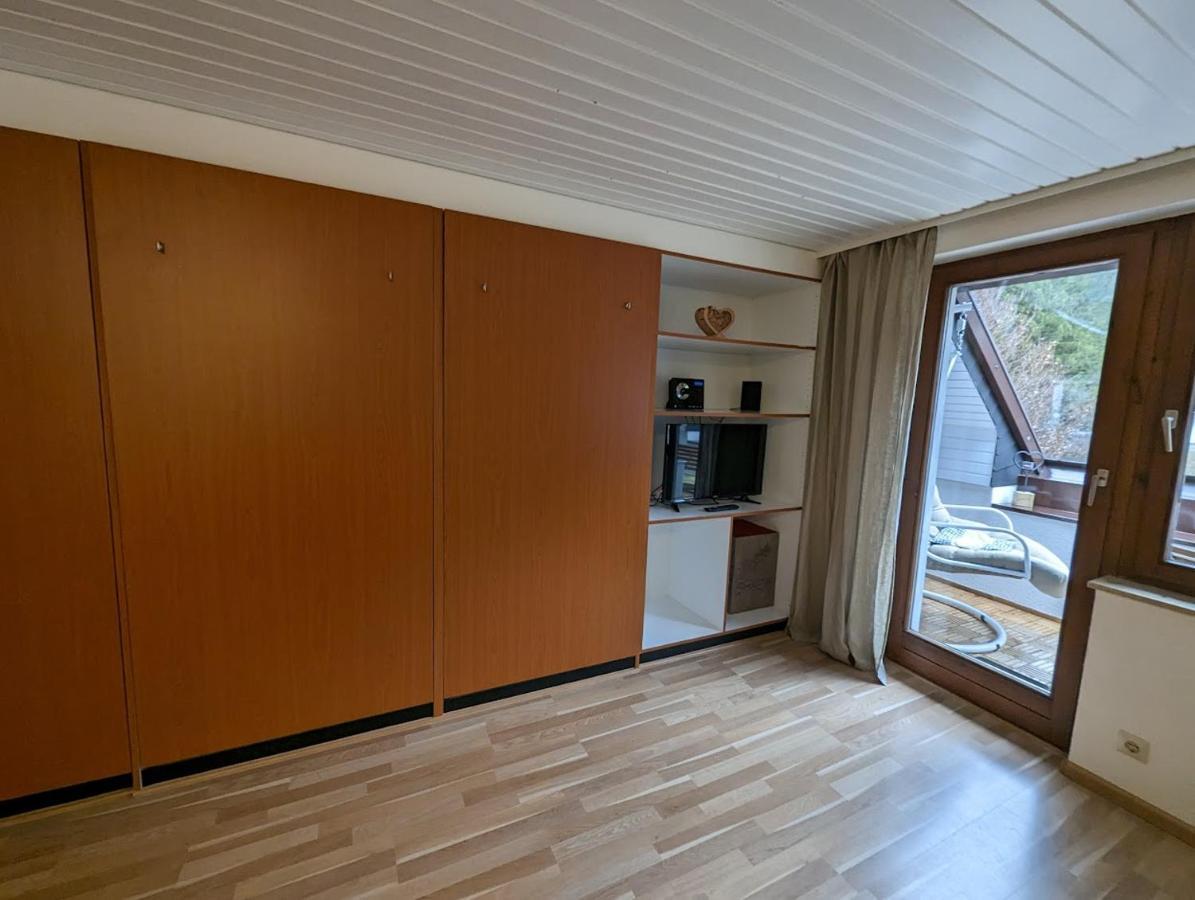 C2 Albmatte-Fewo , Hallenbad Aussenbecken Massagen Nebenan St. Blasien Exteriér fotografie