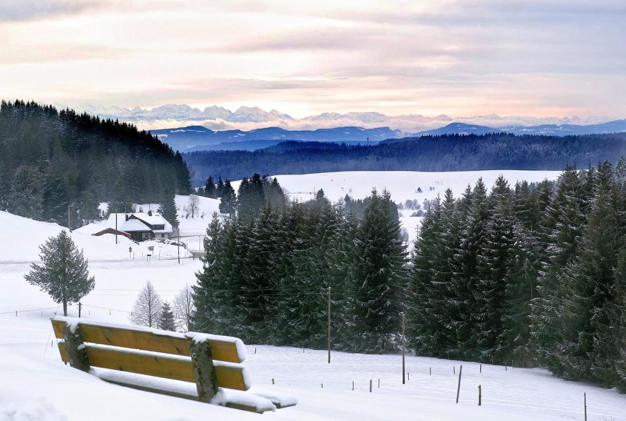 C2 Albmatte-Fewo , Hallenbad Aussenbecken Massagen Nebenan St. Blasien Exteriér fotografie