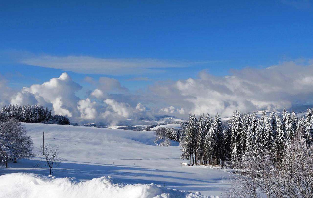 C2 Albmatte-Fewo , Hallenbad Aussenbecken Massagen Nebenan St. Blasien Exteriér fotografie