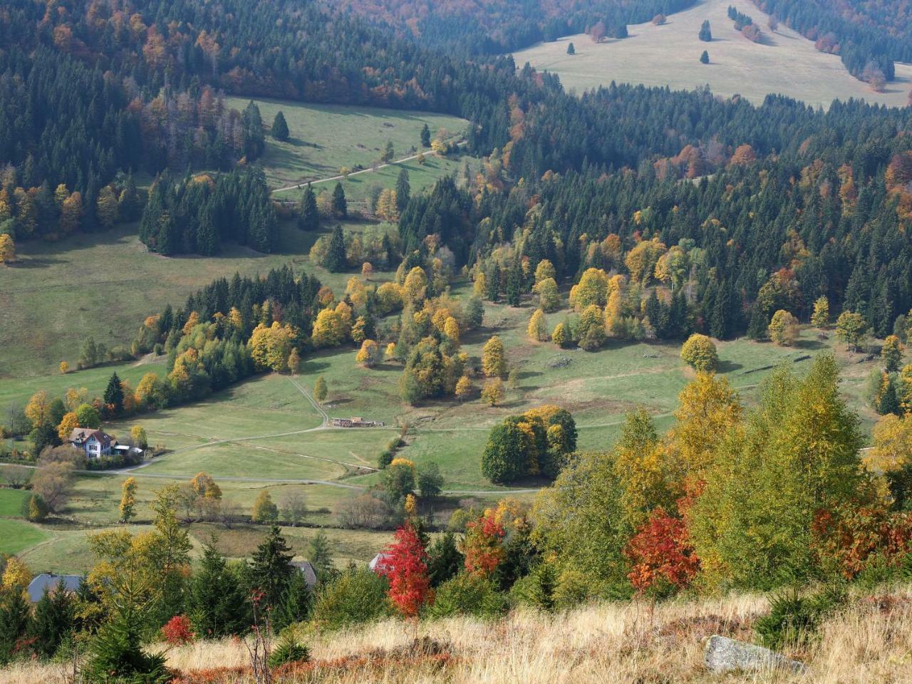 C2 Albmatte-Fewo , Hallenbad Aussenbecken Massagen Nebenan St. Blasien Exteriér fotografie
