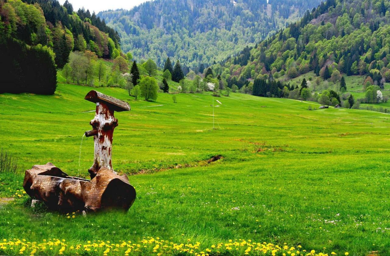 C2 Albmatte-Fewo , Hallenbad Aussenbecken Massagen Nebenan St. Blasien Exteriér fotografie