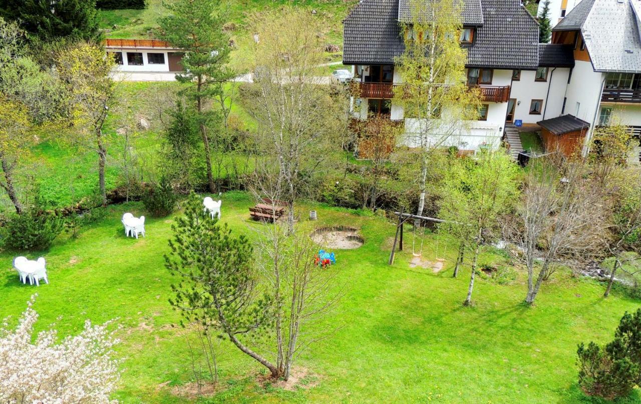C2 Albmatte-Fewo , Hallenbad Aussenbecken Massagen Nebenan St. Blasien Exteriér fotografie