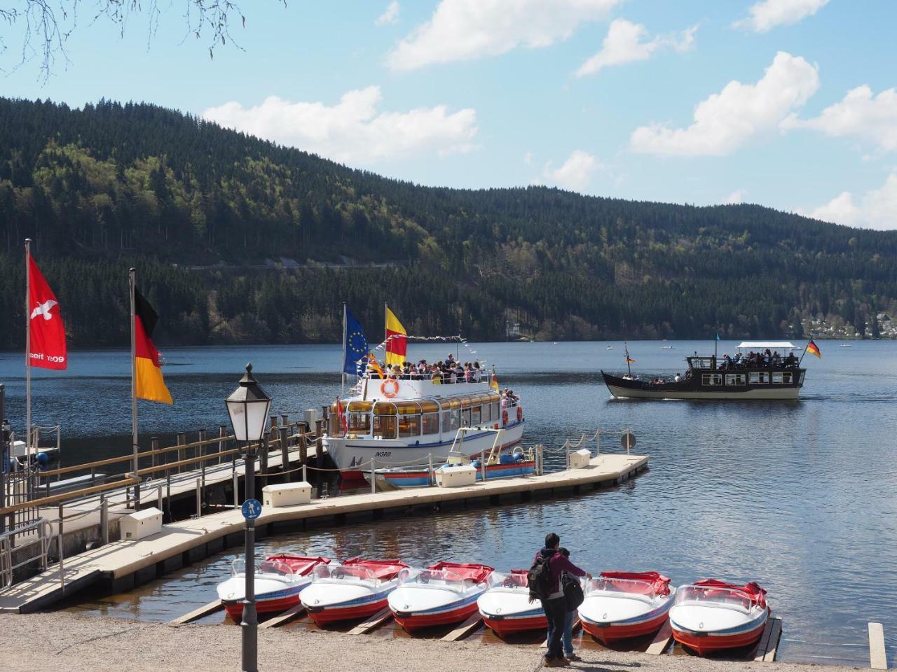 C2 Albmatte-Fewo , Hallenbad Aussenbecken Massagen Nebenan St. Blasien Exteriér fotografie
